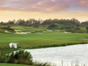 Barefoot Golf Resort - Fazio Course #5