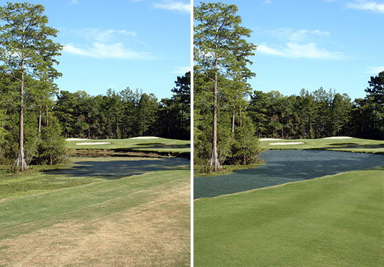 Eagle Nest lake and grass enhancement before and after