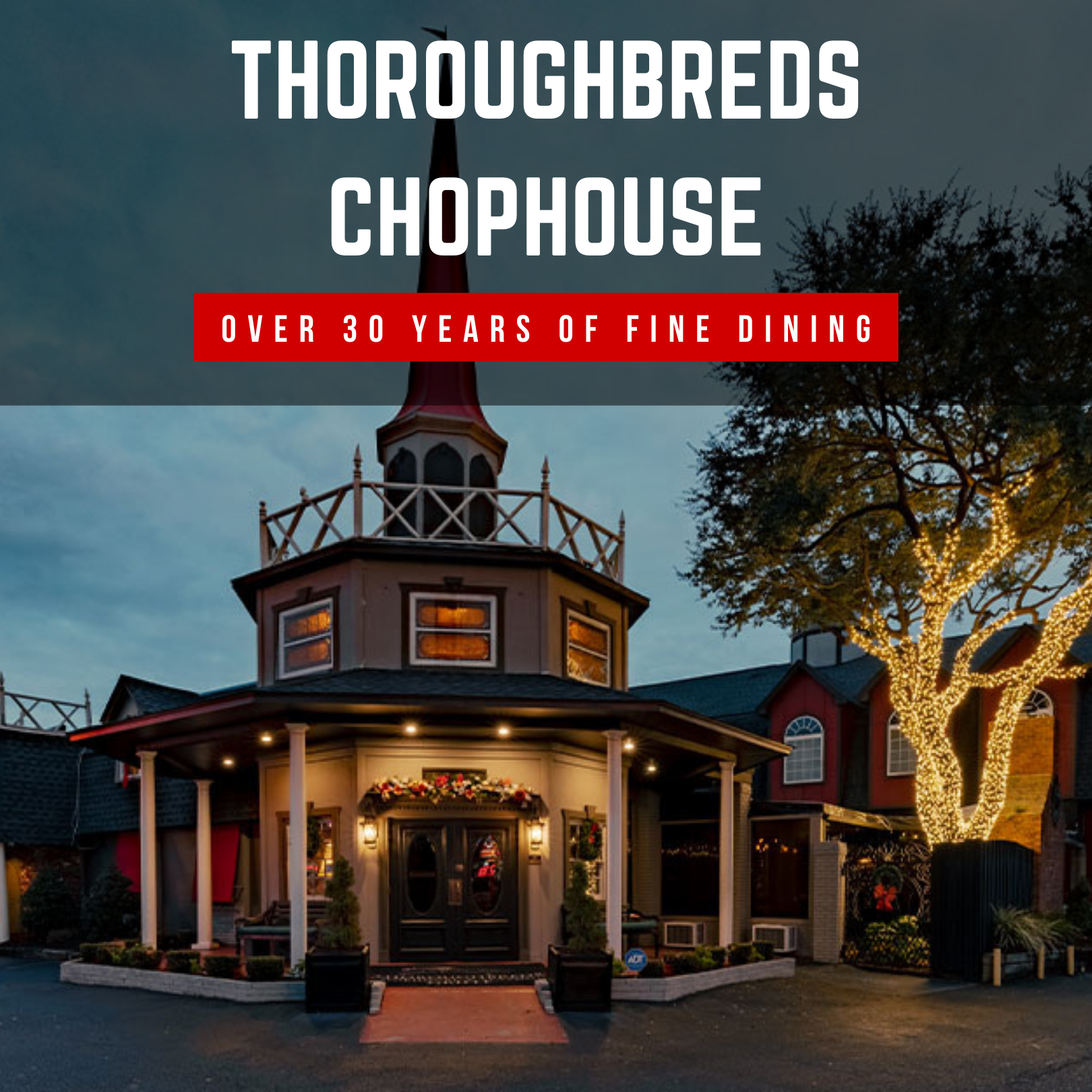 thoroughbreds homepage -top ad