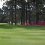 Beachwood Golf Course – 1024×768