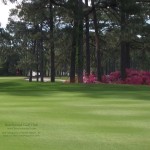 Beachwood Golf Course 1400×1050