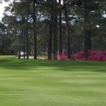 Beachwood Golf Course -4 50×338