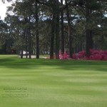 Beachwood Golf Course – 800×600