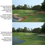 Founders Club lake and grass enhancement before and after