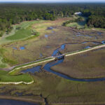 Pawleys-Plantation-Beauties-03