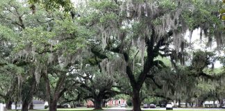 How a historic golf property south of Myrtle Beach has been revitalized, and what’s next