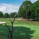 Sea-Trail-Maples-18-02