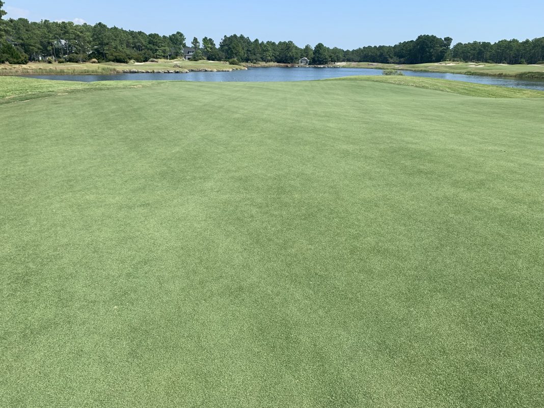 The course had been one of just five in the Myrtle Beach market with bentgrass greens.