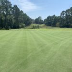 Leopard’s Chase 13th green