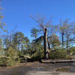 River Oaks tornado damage