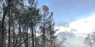 ‘We live to fight another day.’ A pair of Myrtle Beach area courses are recovering from a tornado