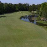 River-Oaks-Otter-08-01