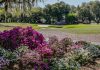 Golfweek says Myrtle Beach has 13 of the top 20 public courses in SC. What layouts made the cut?