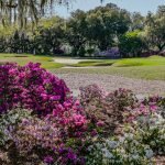 Caledonia-March-29-2024-Jim-Maggio-Photo-19_01_18.Still009-2