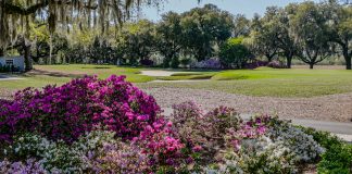Golfweek says Myrtle Beach has 13 of the top 20 public courses in SC. What layouts made the cut?