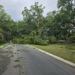 Resized_Resized_20240610_071957_1718055261023_1718055284965