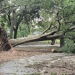 Resized_Resized_20240610_072318_1718055257514_1718055284906