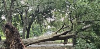 Damage from a strong storm forces the closure of a handful of South Strand golf courses. When will they reopen?