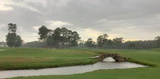 The impact a drought is having on Myrtle Beach area courses, and how they are mitigating it