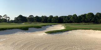 These Myrtle Beach area courses are undergoing notable renovations in 2024 without closing