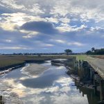 Pawleys-Plantation-Dec.-4-2023-David-Williams-Photo-2318