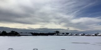 Once snow-covered Grand Strand courses are assessing when they can reopen. The latest updates