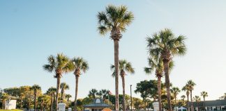 PGA Tour’s ONEflight Myrtle Beach Classic announces musical acts, pro-am celebs, additions