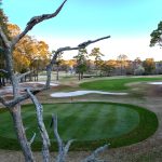 Sea-Trail-Maples-March-11-2024-Jim-Maggio-Photo-0948