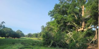 The host course of Myrtle Beach’s PGA Tour event hit by severe storm that forced its closure