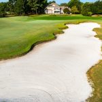 Thistle-Cameron-Sept.-24-2024-Jim-Maggio-Photo-84510_0087_D