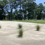 Beachwood 3rd green bunker