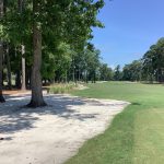 Beachwood 3rd hole waste