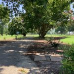 Beachwood 5th tee cart path