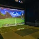 Birdie House simulator