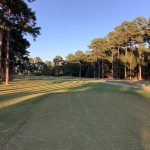 Whispering Pines #1