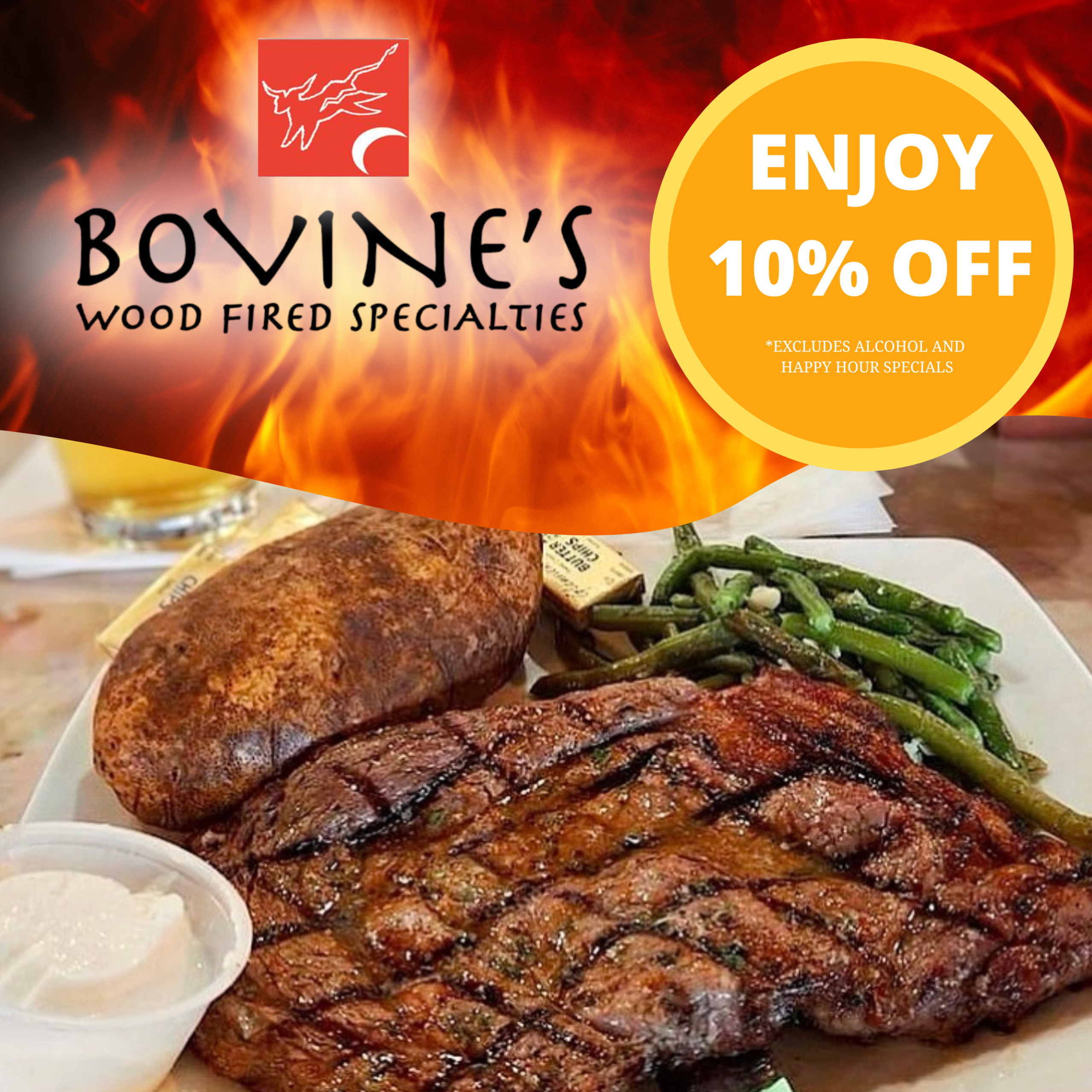 Bovines - Square