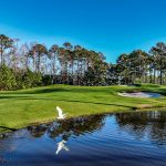 River-Oaks-14-Square