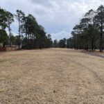 Carolina Shores Jan 24 3