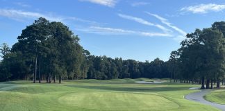 Avocet Course, full clubhouse at Wild Wing Plantation to reopen after extensive renovations