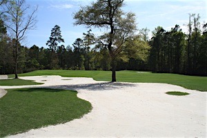 Shaftesbury Glen hole 5