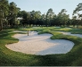 Photo of Arcadian Shores Golf Club hole