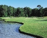 Black Bear Golf Course photo