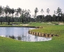 Brunswick Plantation golf photo
