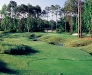 Caledonia Hole 11