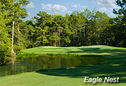 Myrtle Beach golf news Eagle Nest